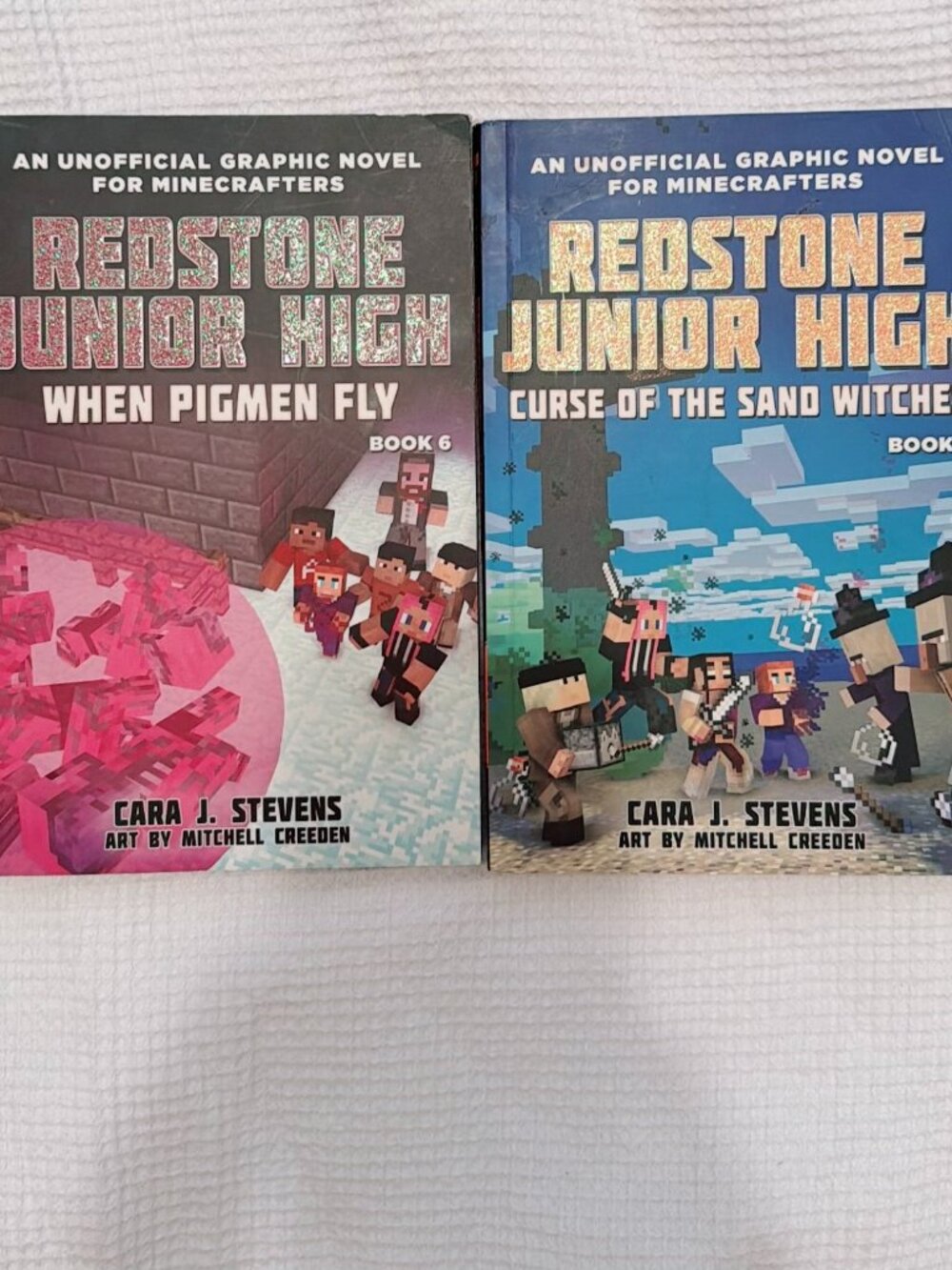 Redstone Junior High Graphic Novel Lot Books 5 & 6 Curse Sand Witches Pigmen Fly